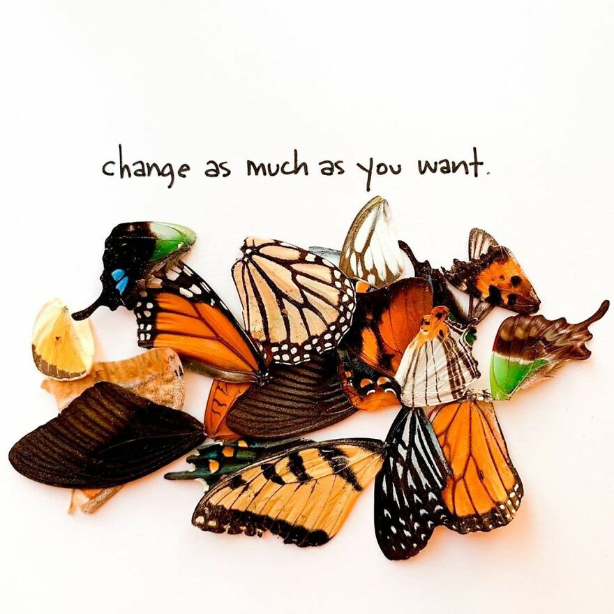 This Artist Makes Art With Dead Insects And 178,000 Instagram Followers Approve