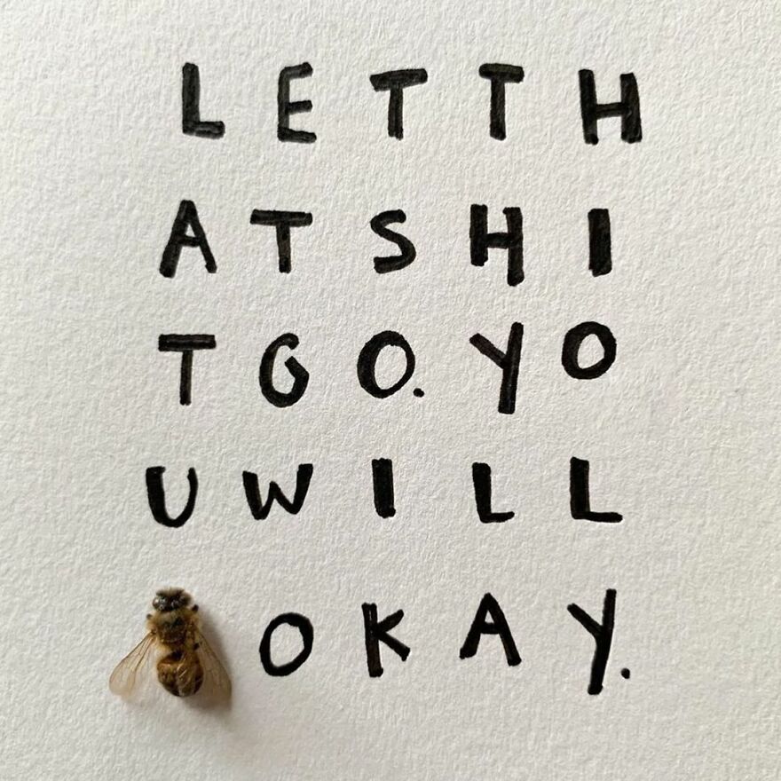 This Artist Makes Art With Dead Insects And 178,000 Instagram Followers Approve