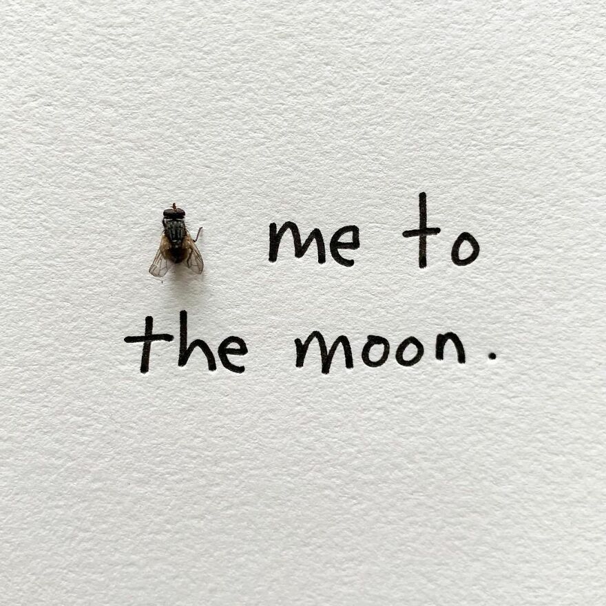 This Artist Makes Art With Dead Insects And 178,000 Instagram Followers Approve