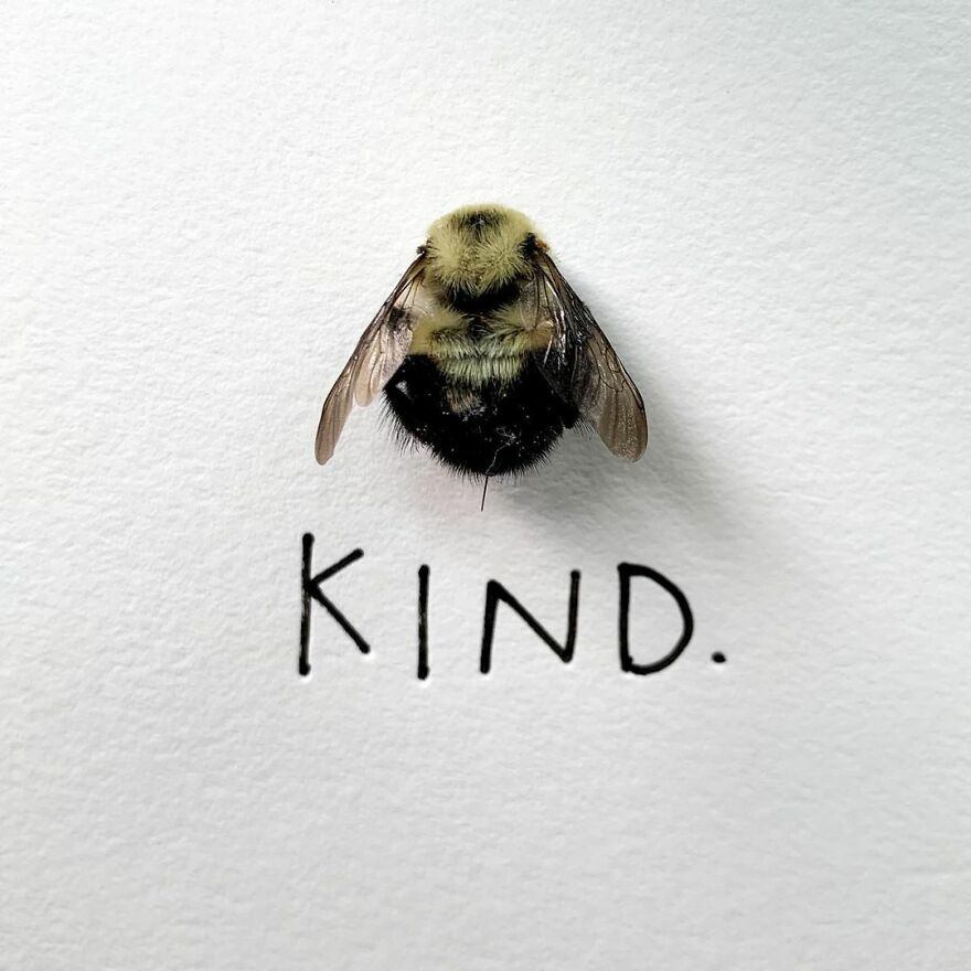 This Artist Makes Art With Dead Insects And 178,000 Instagram Followers Approve