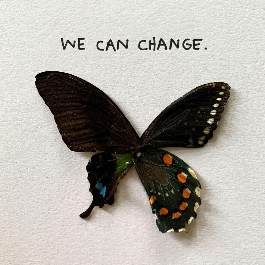 This Artist Makes Art With Dead Insects And 178,000 Instagram Followers Approve