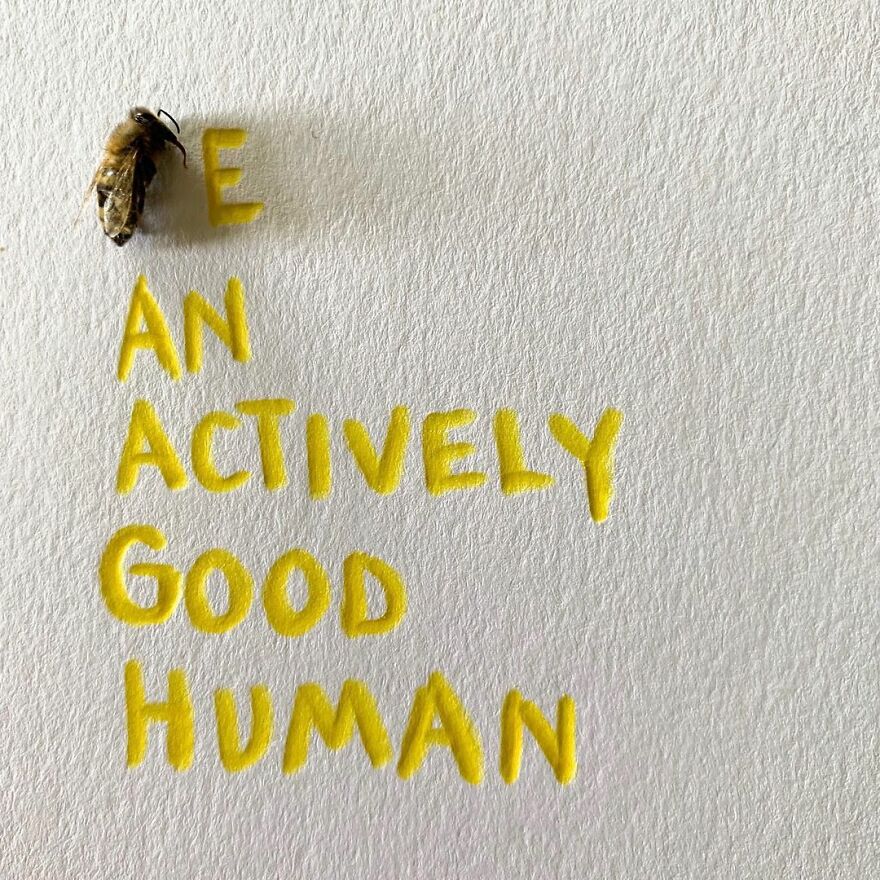 This Artist Makes Art With Dead Insects And 178,000 Instagram Followers Approve