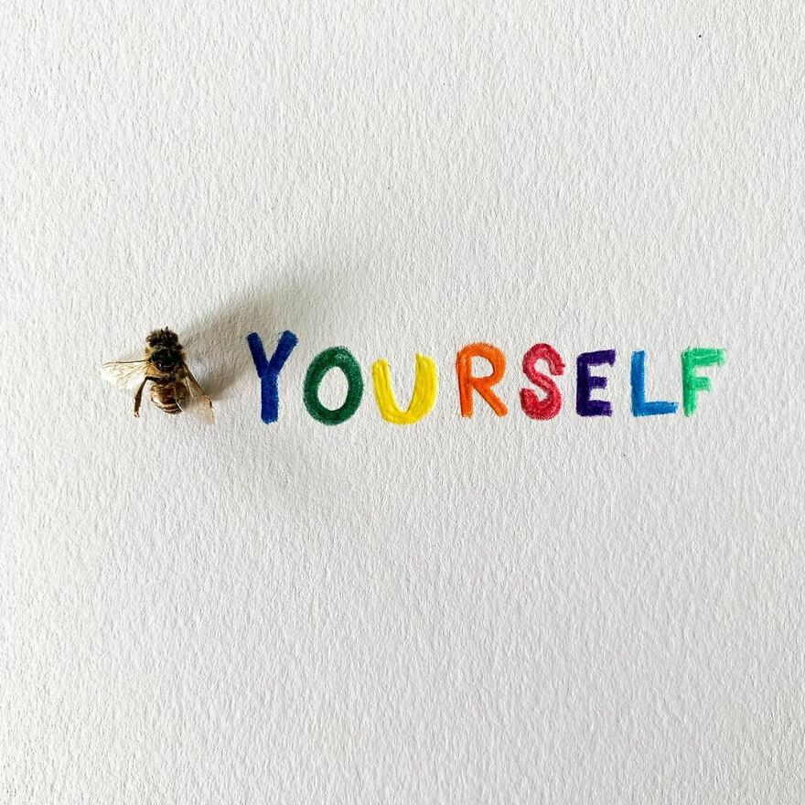 This Artist Makes Art With Dead Insects And 178,000 Instagram Followers Approve