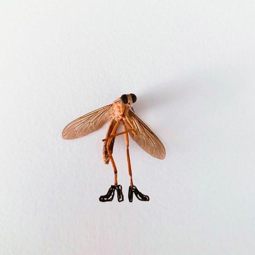 This Artist Makes Art With Dead Insects And 178,000 Instagram Followers Approve