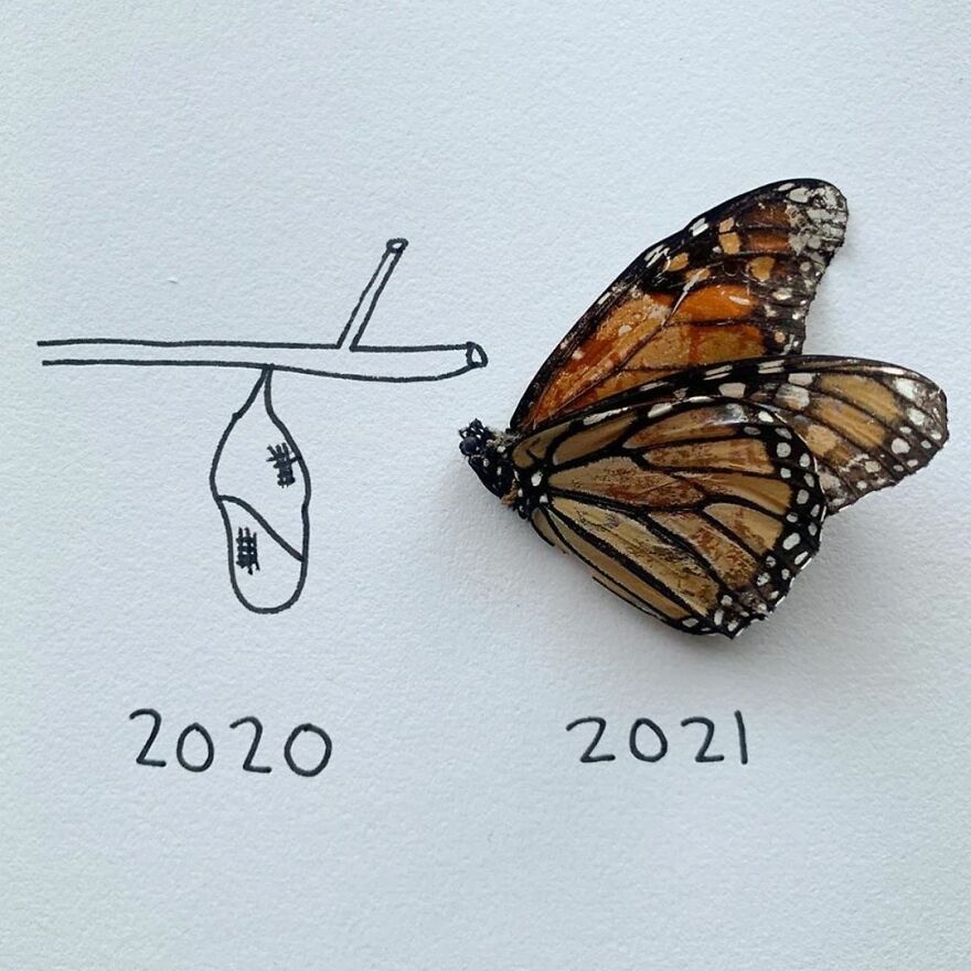 This Artist Makes Art With Dead Insects And 178,000 Instagram Followers Approve