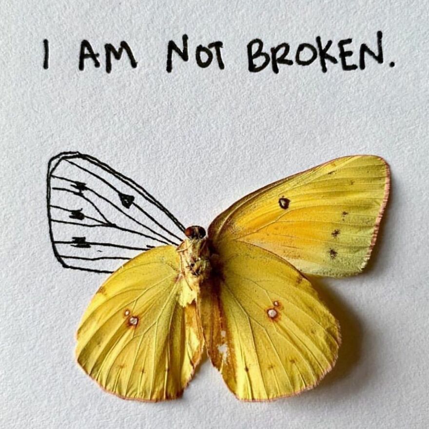 This Artist Makes Art With Dead Insects And 178,000 Instagram Followers Approve