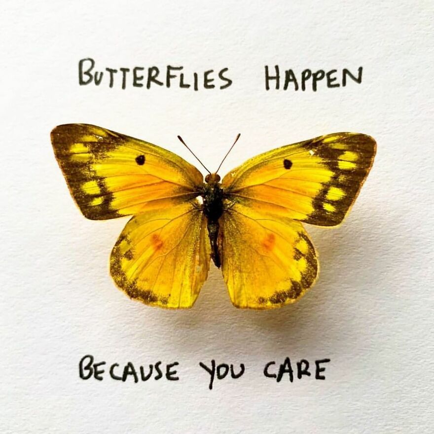 This Artist Makes Art With Dead Insects And 178,000 Instagram Followers Approve