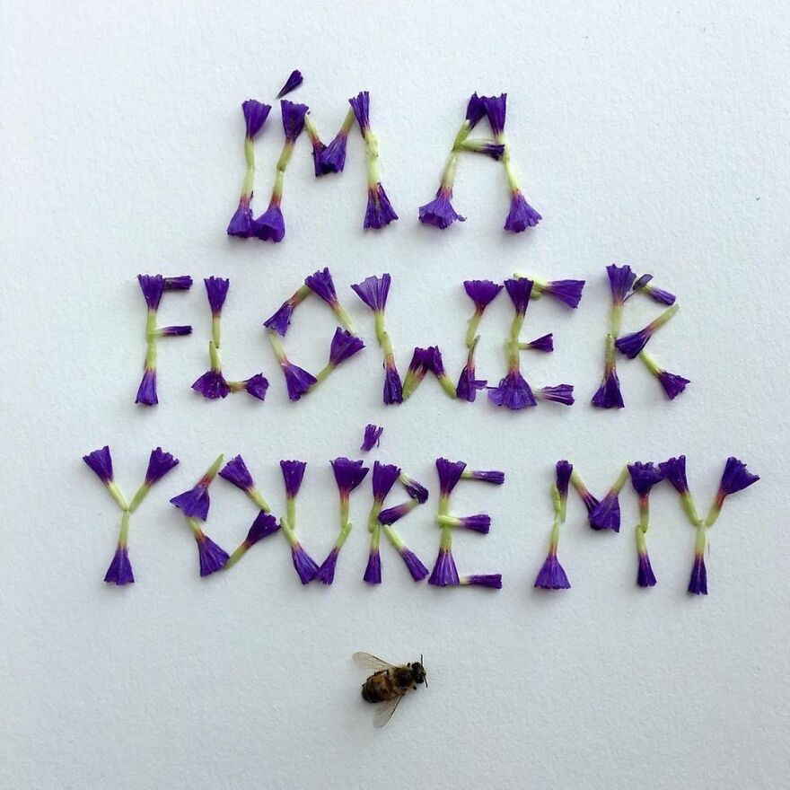 This Artist Makes Art With Dead Insects And 178,000 Instagram Followers Approve