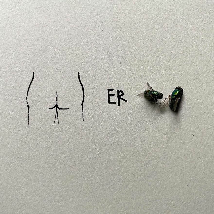 This Artist Makes Art With Dead Insects And 178,000 Instagram Followers Approve