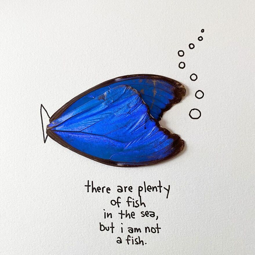 This Artist Makes Art With Dead Insects And 178,000 Instagram Followers Approve