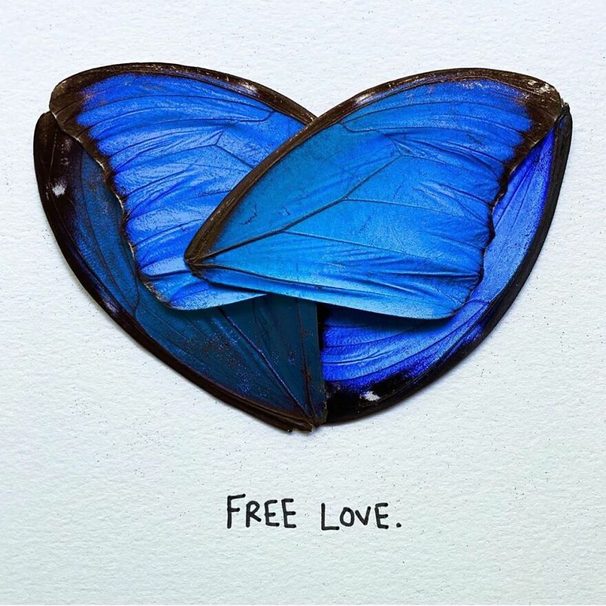 This Artist Makes Art With Dead Insects And 178,000 Instagram Followers Approve