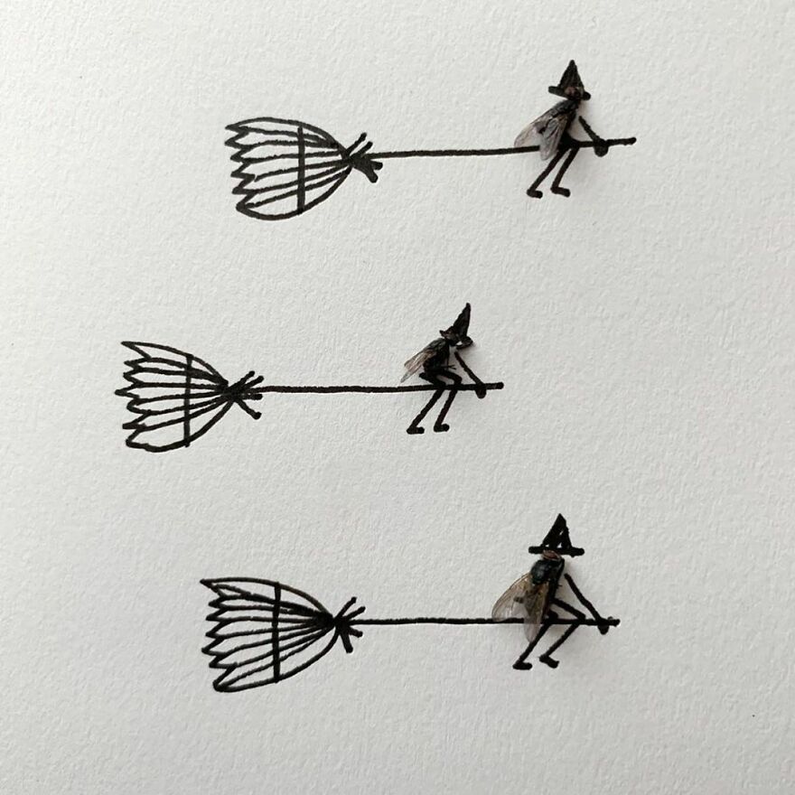 This Artist Makes Art With Dead Insects And 178,000 Instagram Followers Approve