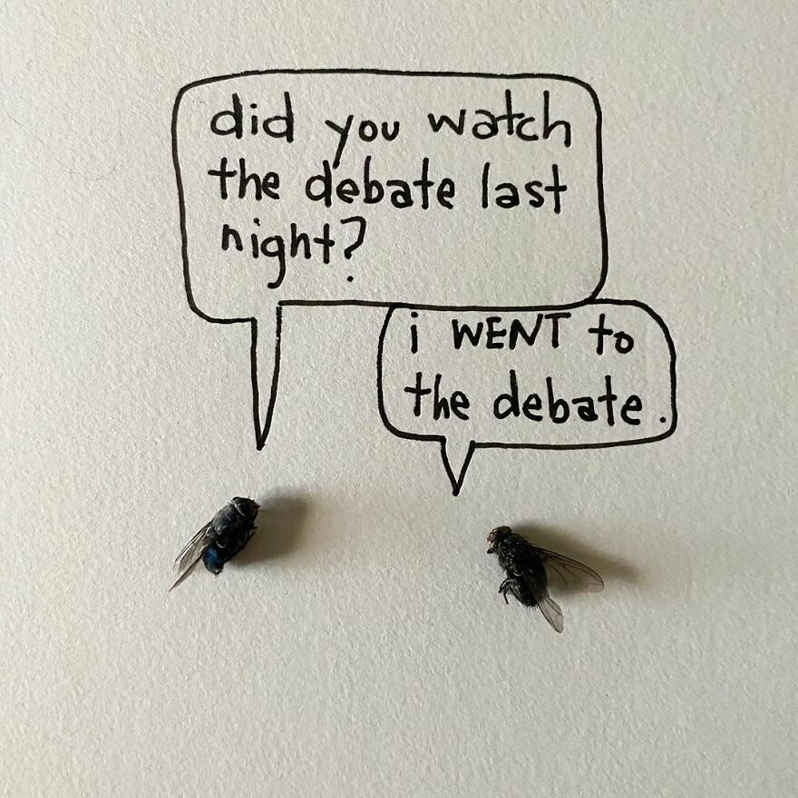 This Artist Makes Art With Dead Insects And 178,000 Instagram Followers Approve