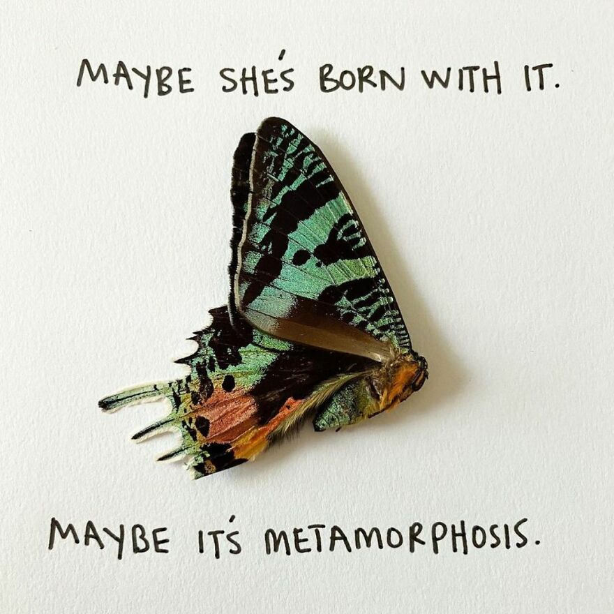 This Artist Makes Art With Dead Insects And 178,000 Instagram Followers Approve