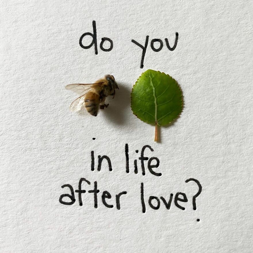 This Artist Makes Art With Dead Insects And 178,000 Instagram Followers Approve