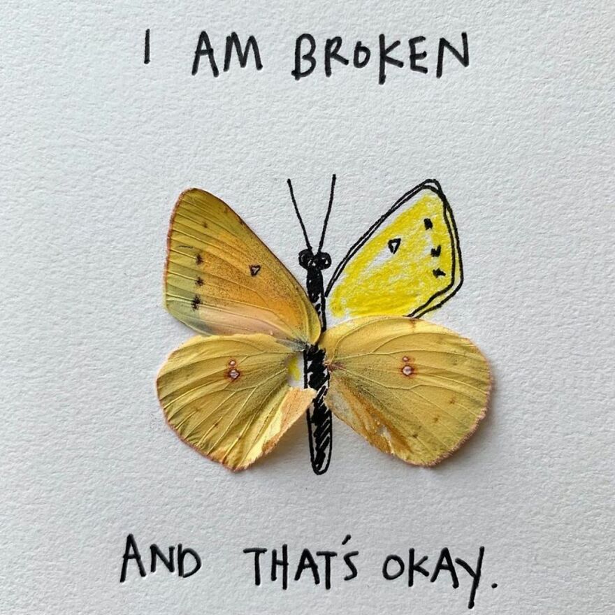 This Artist Makes Art With Dead Insects And 178,000 Instagram Followers Approve