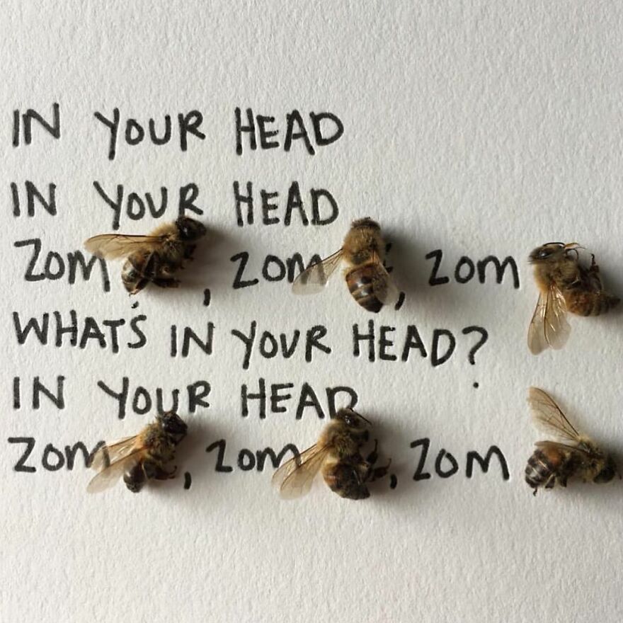 This Artist Makes Art With Dead Insects And 178,000 Instagram Followers Approve