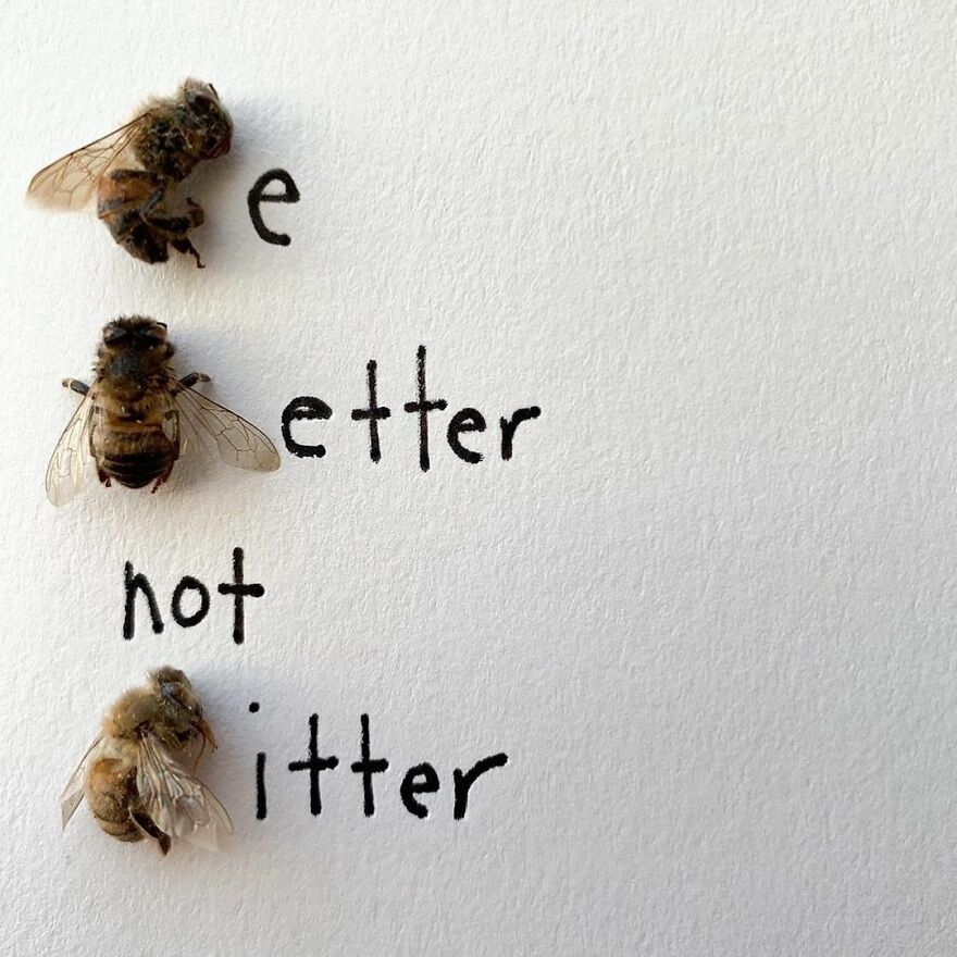 This Artist Makes Art With Dead Insects And 178,000 Instagram Followers Approve
