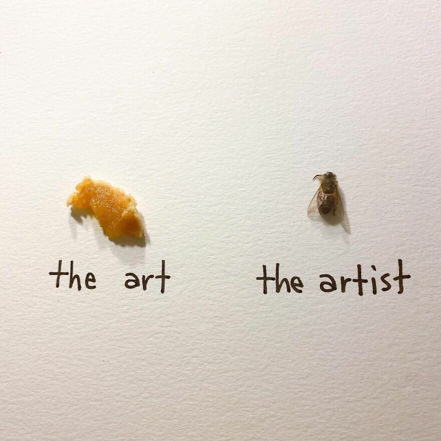 This Artist Makes Art With Dead Insects And 178,000 Instagram Followers Approve
