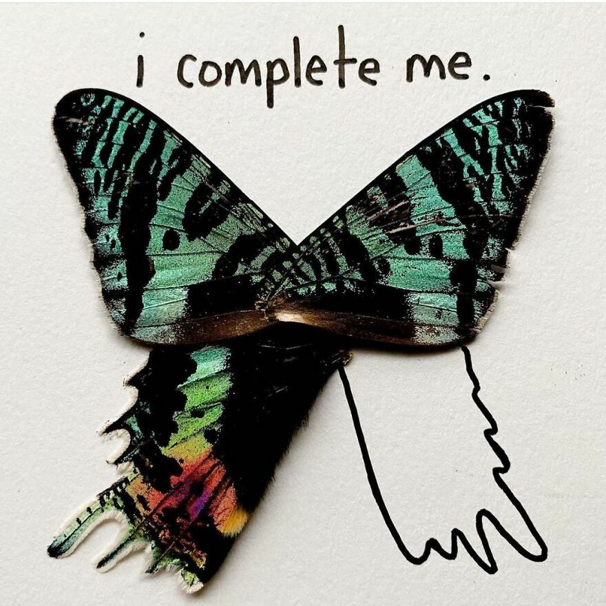 This Artist Makes Art With Dead Insects And 178,000 Instagram Followers Approve