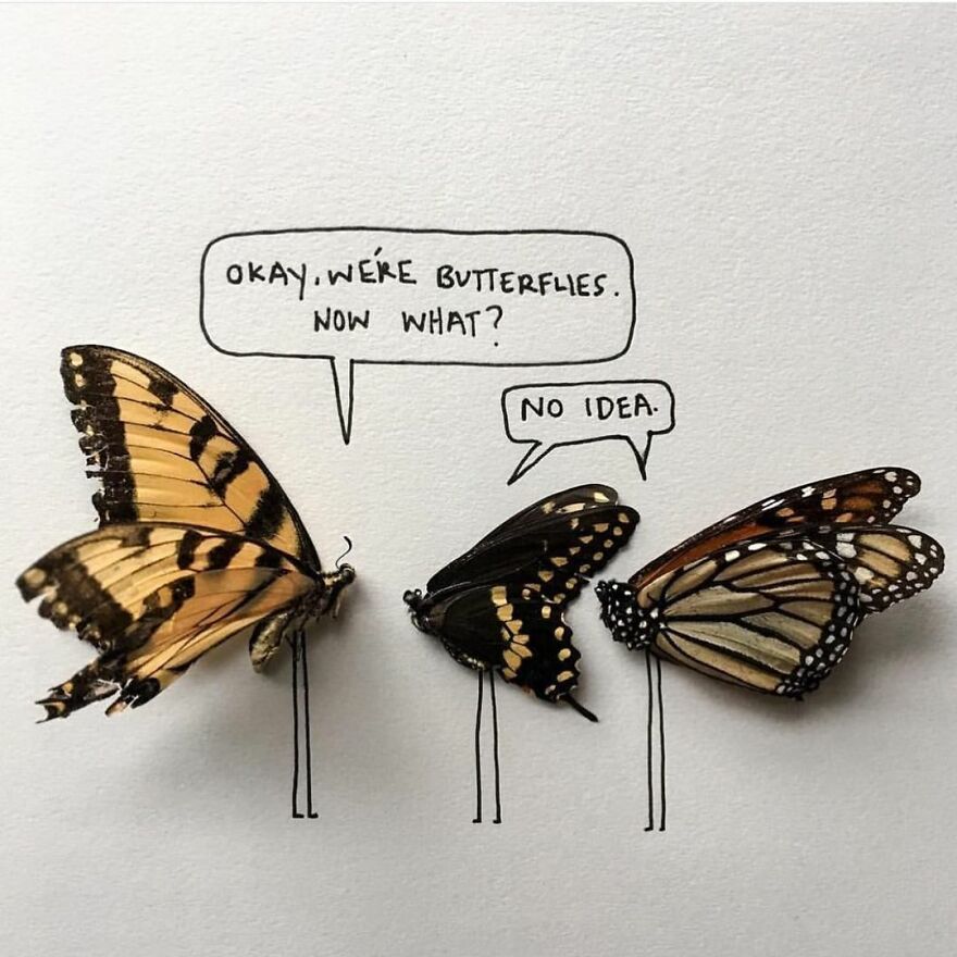 This Artist Makes Art With Dead Insects And 178,000 Instagram Followers Approve