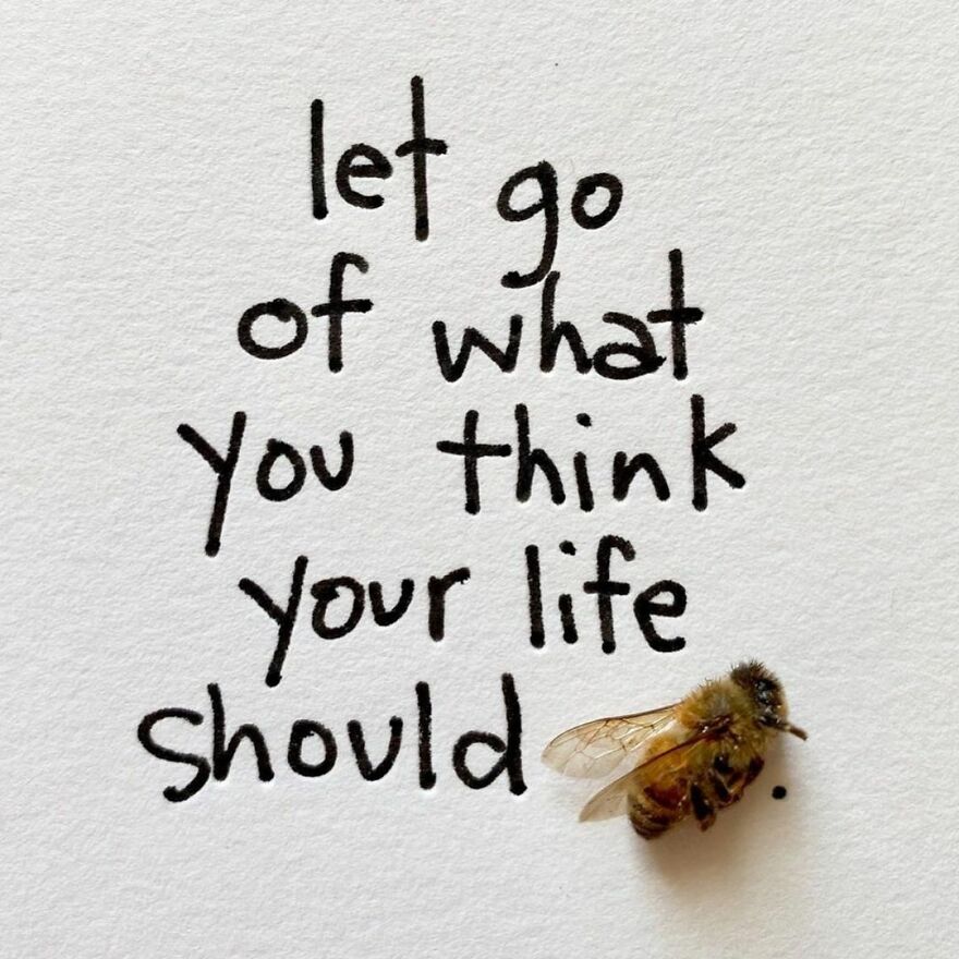 This Artist Makes Art With Dead Insects And 178,000 Instagram Followers Approve