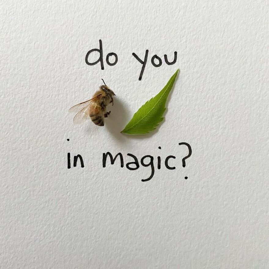 This Artist Makes Art With Dead Insects And 178,000 Instagram Followers Approve