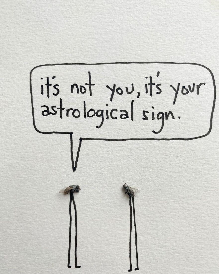 This Artist Makes Art With Dead Insects And 178,000 Instagram Followers Approve