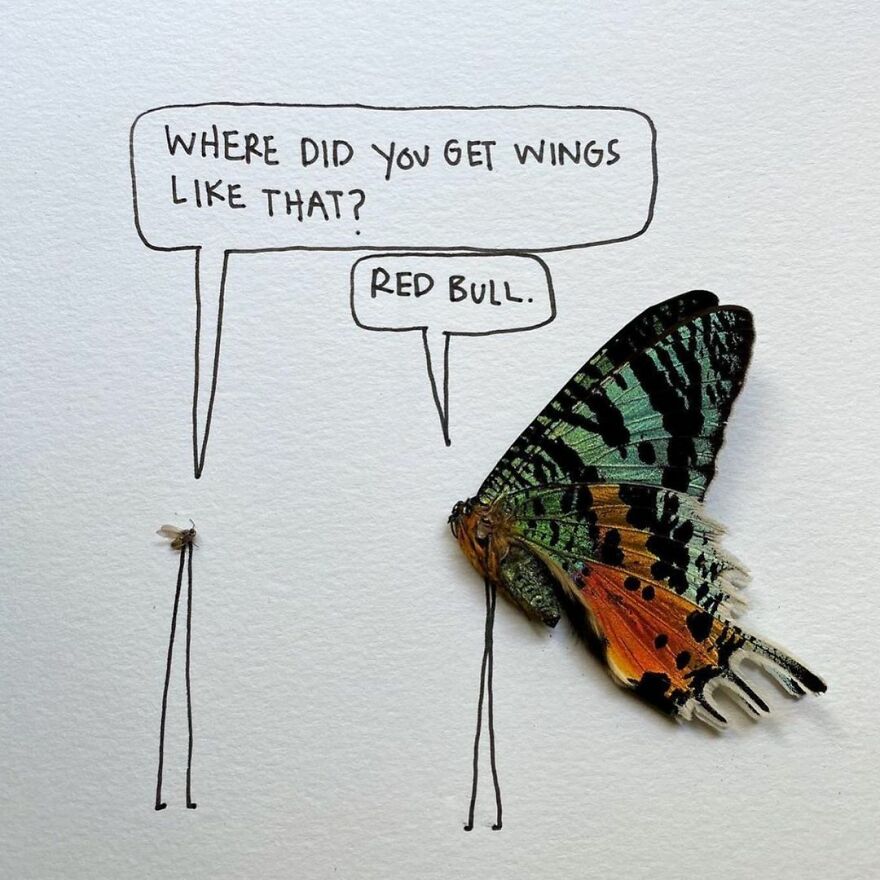 This Artist Makes Art With Dead Insects And 178,000 Instagram Followers Approve