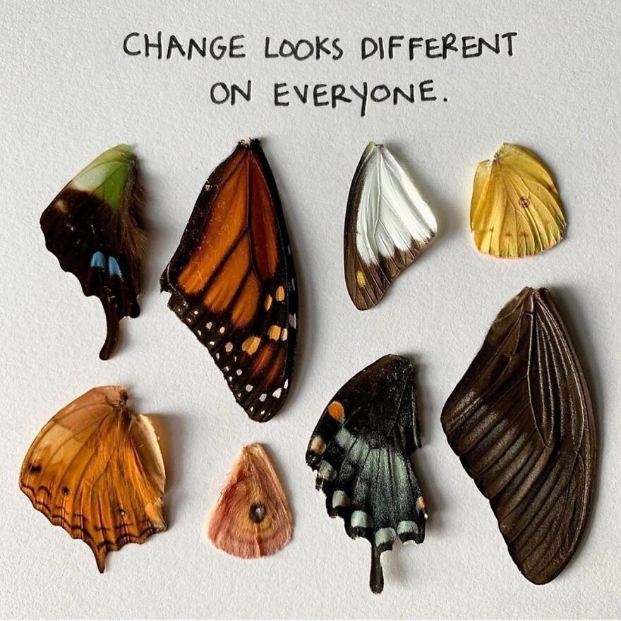 This Artist Makes Art With Dead Insects And 178,000 Instagram Followers Approve