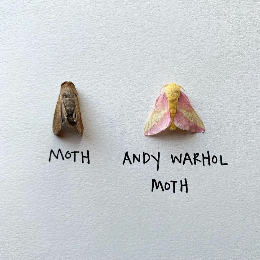 This Artist Makes Art With Dead Insects And 178,000 Instagram Followers Approve