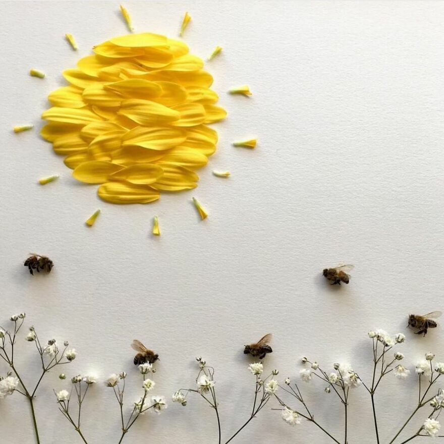 This Artist Makes Art With Dead Insects And 178,000 Instagram Followers Approve
