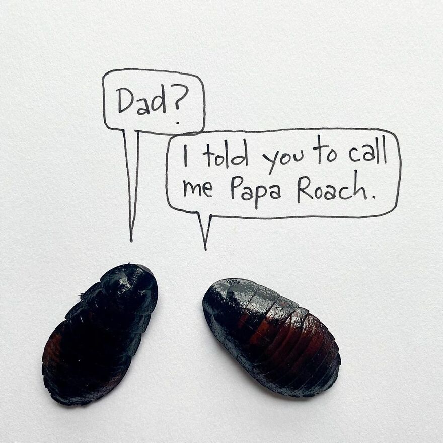 This Artist Makes Art With Dead Insects And 178,000 Instagram Followers Approve