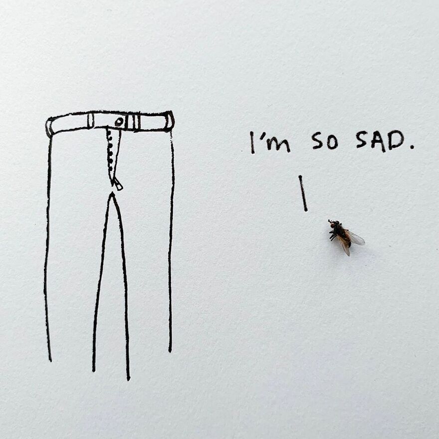 This Artist Makes Art With Dead Insects And 178,000 Instagram Followers Approve