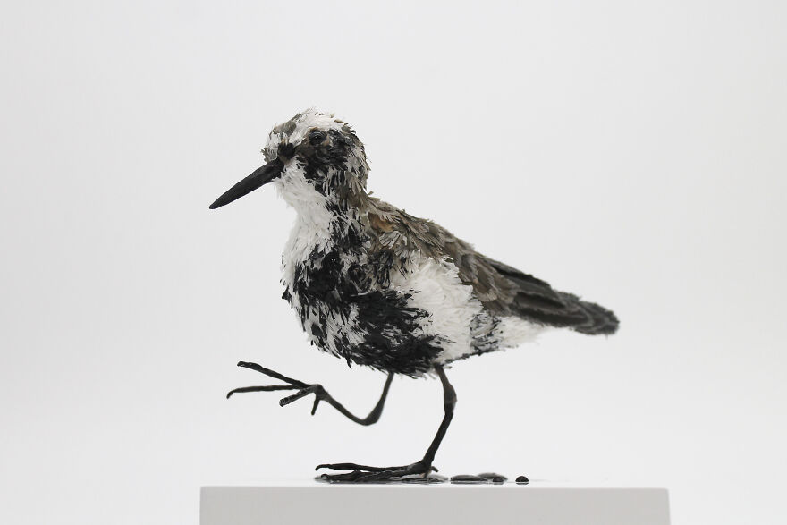I've Created These Animal Sculptures To Show The Consequences Of Ocean Pollution I've Created These Animal Sculptures To Show The Consequences Of Ocean Pollution
