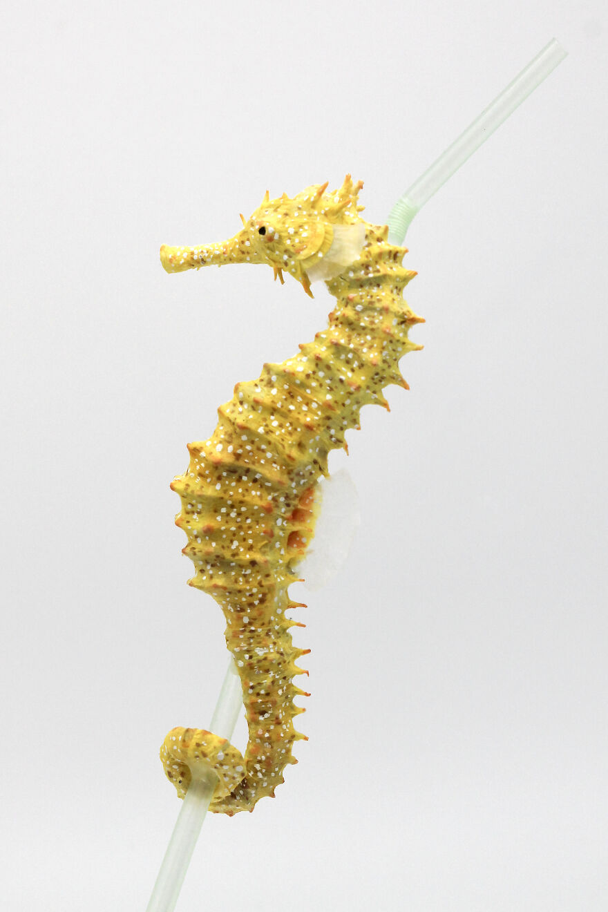 I've Created These Animal Sculptures To Show The Consequences Of Ocean Pollution I've Created These Animal Sculptures To Show The Consequences Of Ocean Pollution