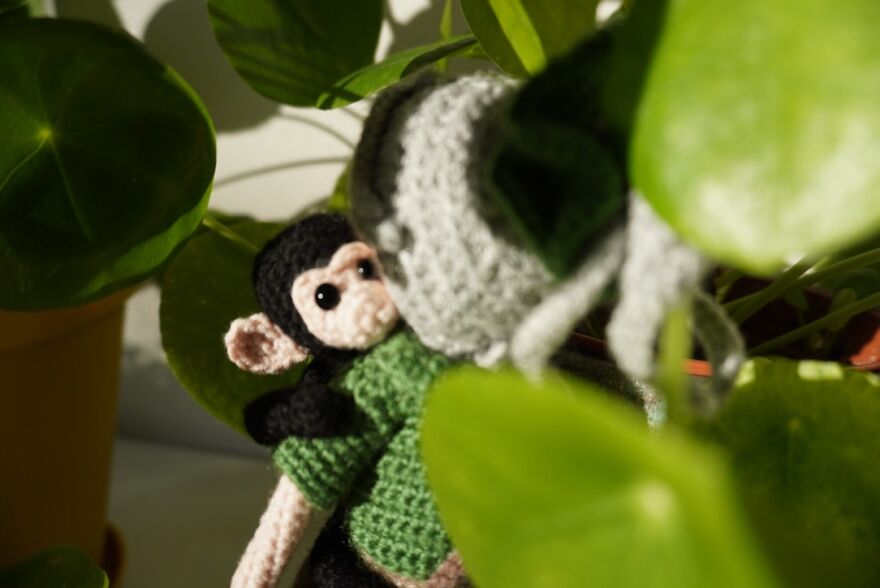 I Crochet Famous Women In Science To Create Role Models And Awareness