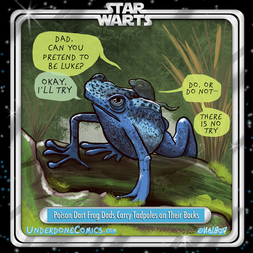 Poison Dart Frog Dads Are Always Up For Giving Piggy-Back Rides