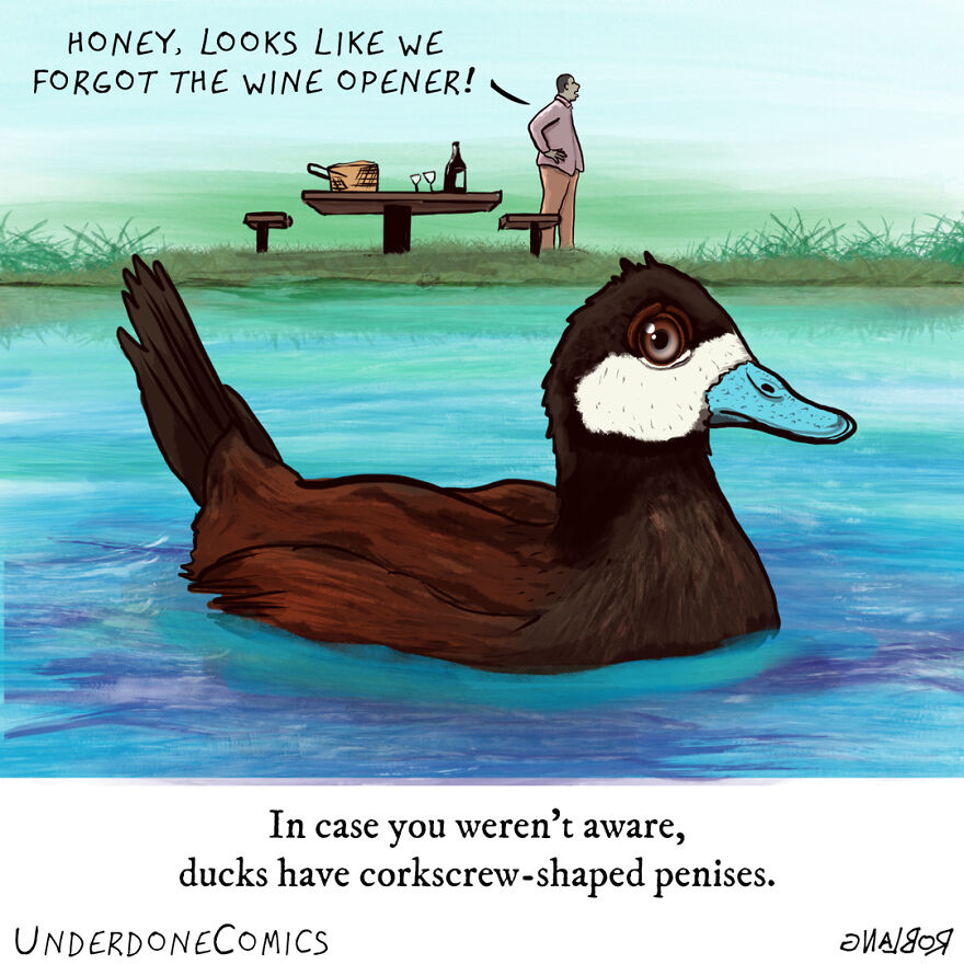 Luckily Duck Moms Have Inverted-Corkscrew Parts