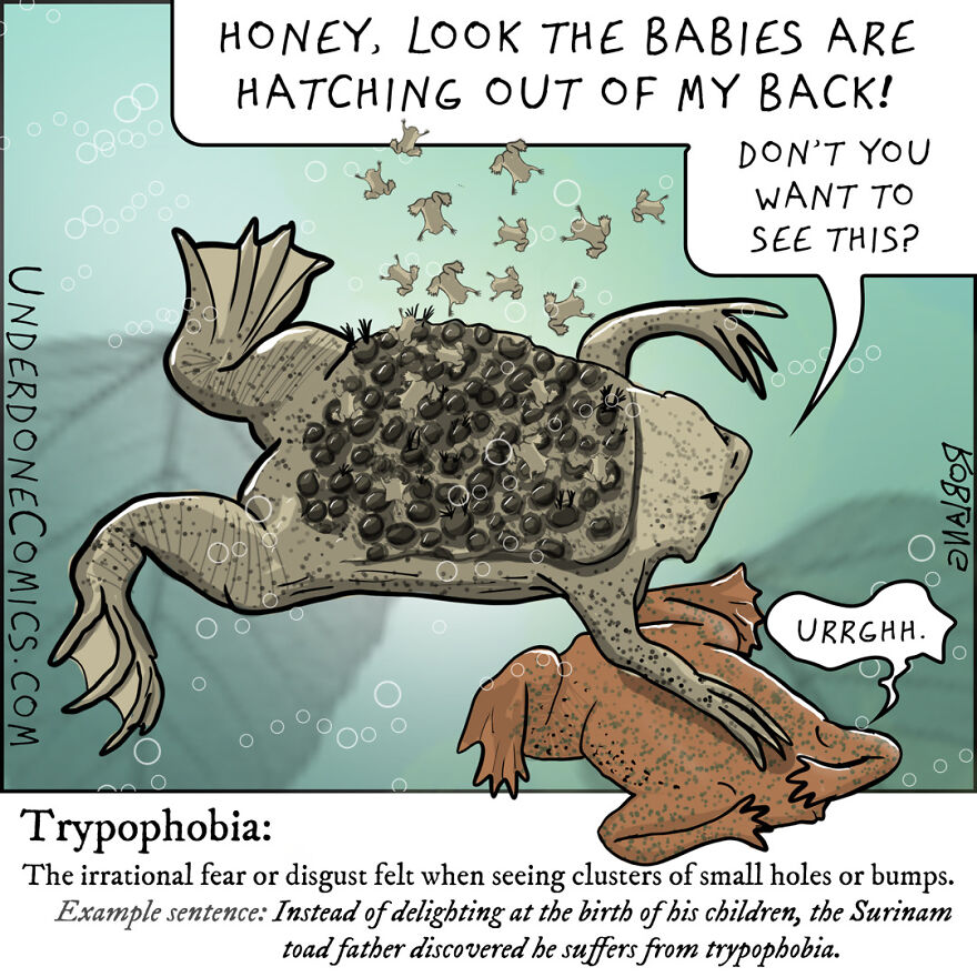 What If A Surinam Toad Father Has Trypophobia?