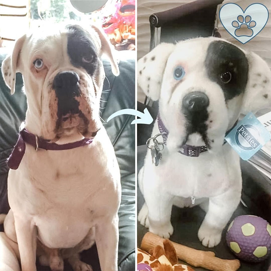 You Can Now Have A Plush Copy Of Your Pet