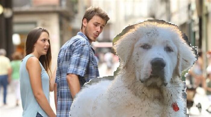 She's Obviously A Cat Chick