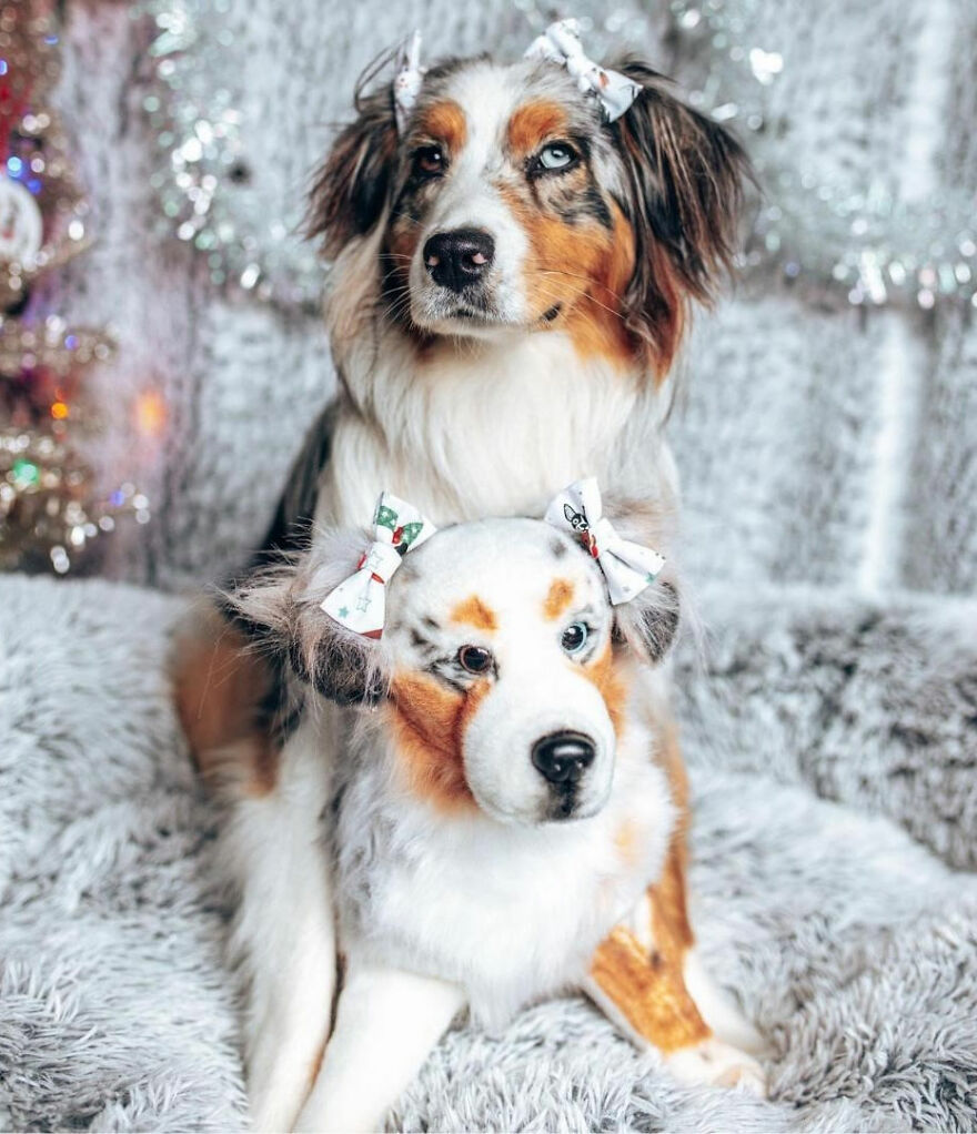 You Can Now Have A Plush Copy Of Your Pet