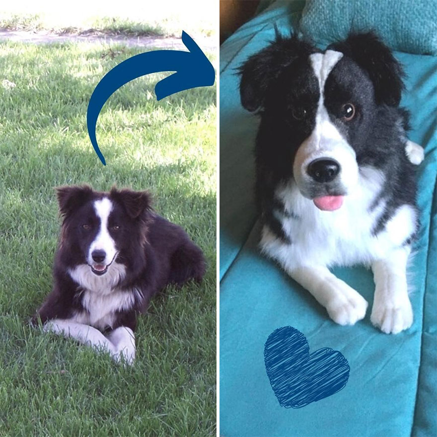 You Can Now Have A Plush Copy Of Your Pet