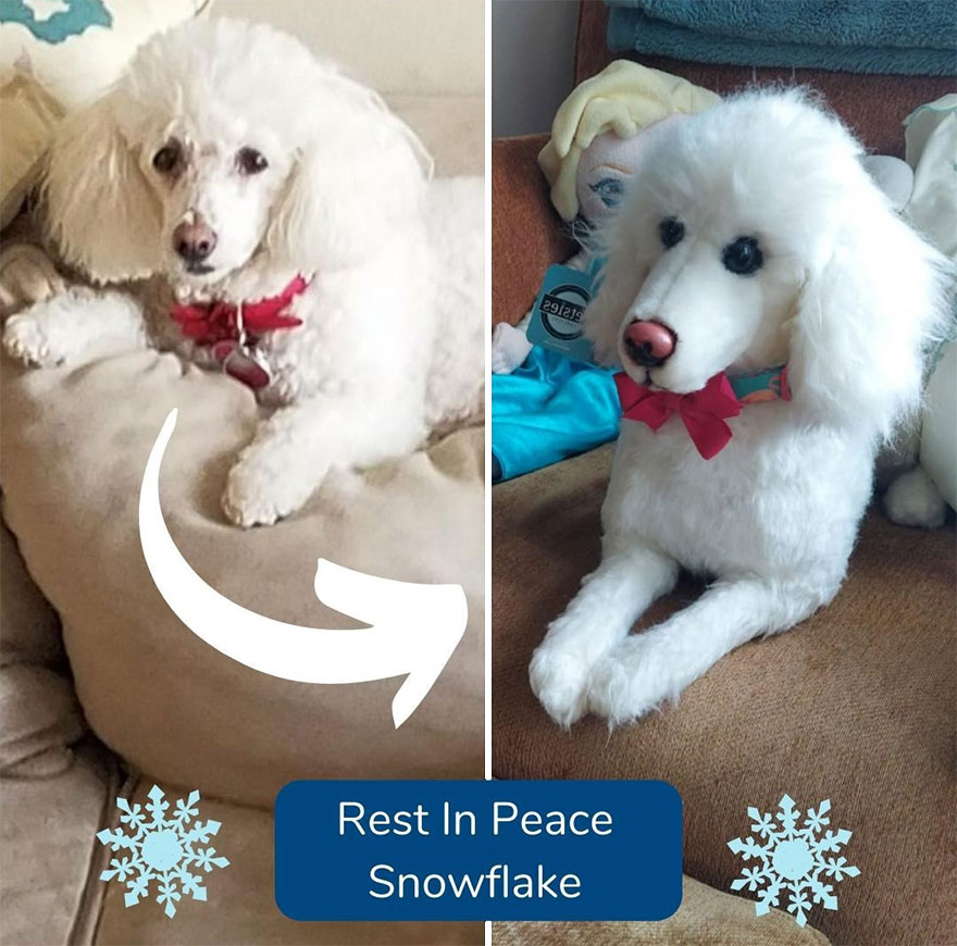 You Can Now Have A Plush Copy Of Your Pet