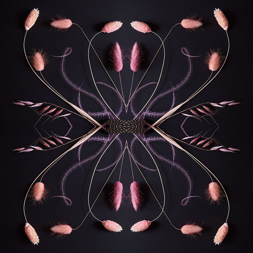 Reimagining Nature - The Collage Project