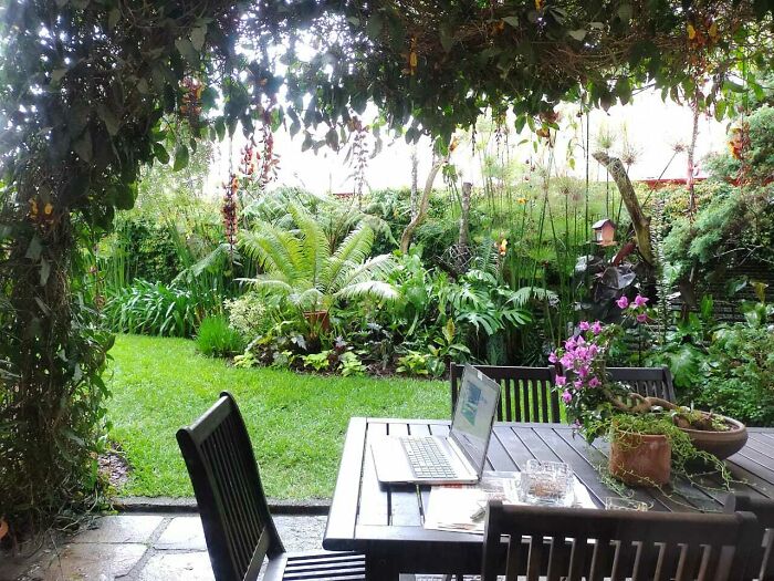 My Pergola. This Is Where I Work, Eat And Hang Out With My Friends All Year Round. (Guatemala)