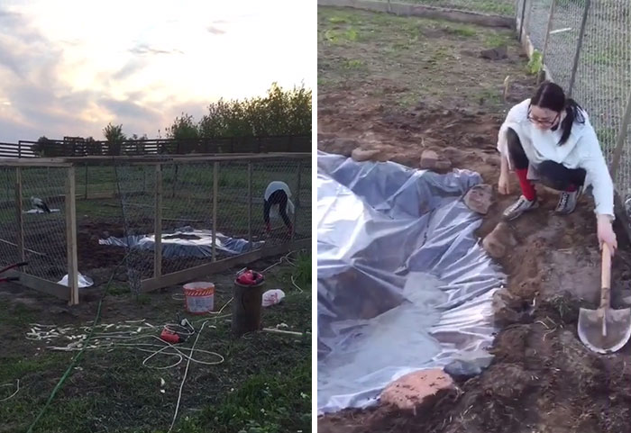 After Damaging His Wing, This Stork Will Never Fly Again, But He Enjoys A Wholesome Life With A Woman Who Rescued Him