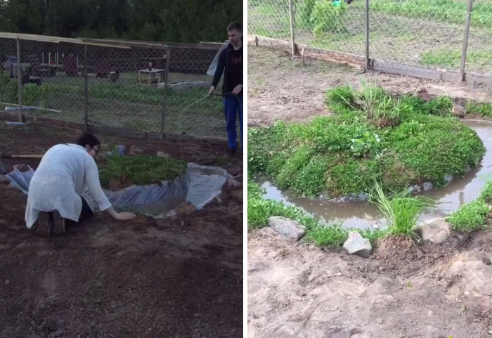 After Damaging His Wing, This Stork Will Never Fly Again, But He Enjoys A Wholesome Life With A Woman Who Rescued Him