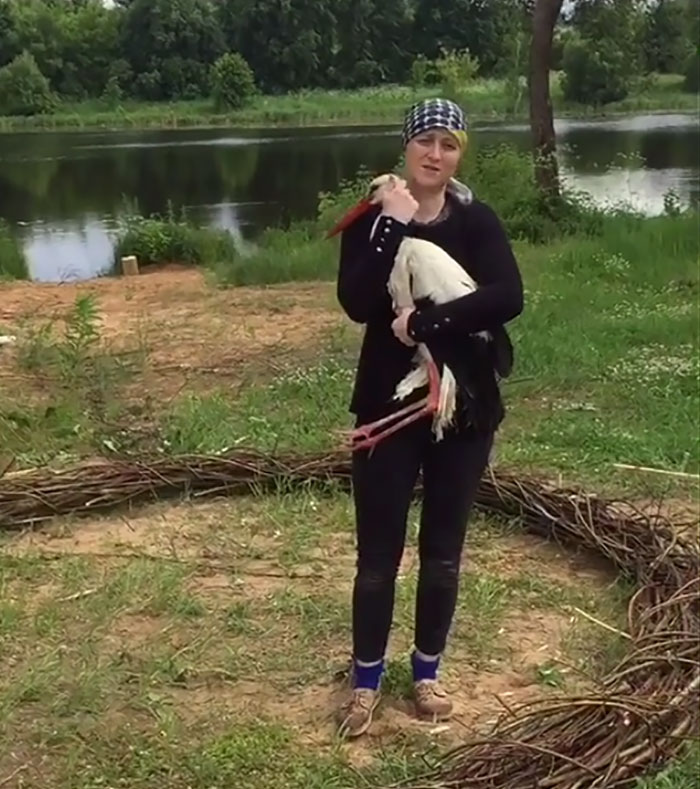 After Damaging His Wing, This Stork Will Never Fly Again, But He Enjoys A Wholesome Life With A Woman Who Rescued Him After Damaging His Wing, This Stork Will Never Fly Again, But He Enjoys A Wholesome Life With A Woman Who Rescued Him
